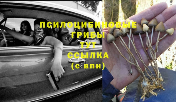 эйфоретик Верхний Тагил