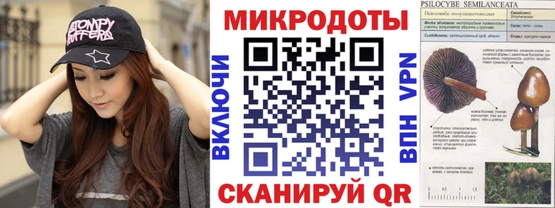 Псилоцибиновые грибы Psilocybe  Чебаркуль 